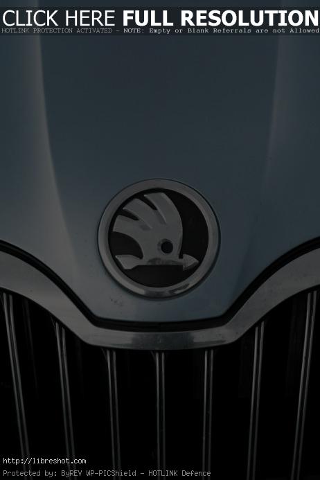 Škoda Auto Emblem | Free Images For Commercial Use